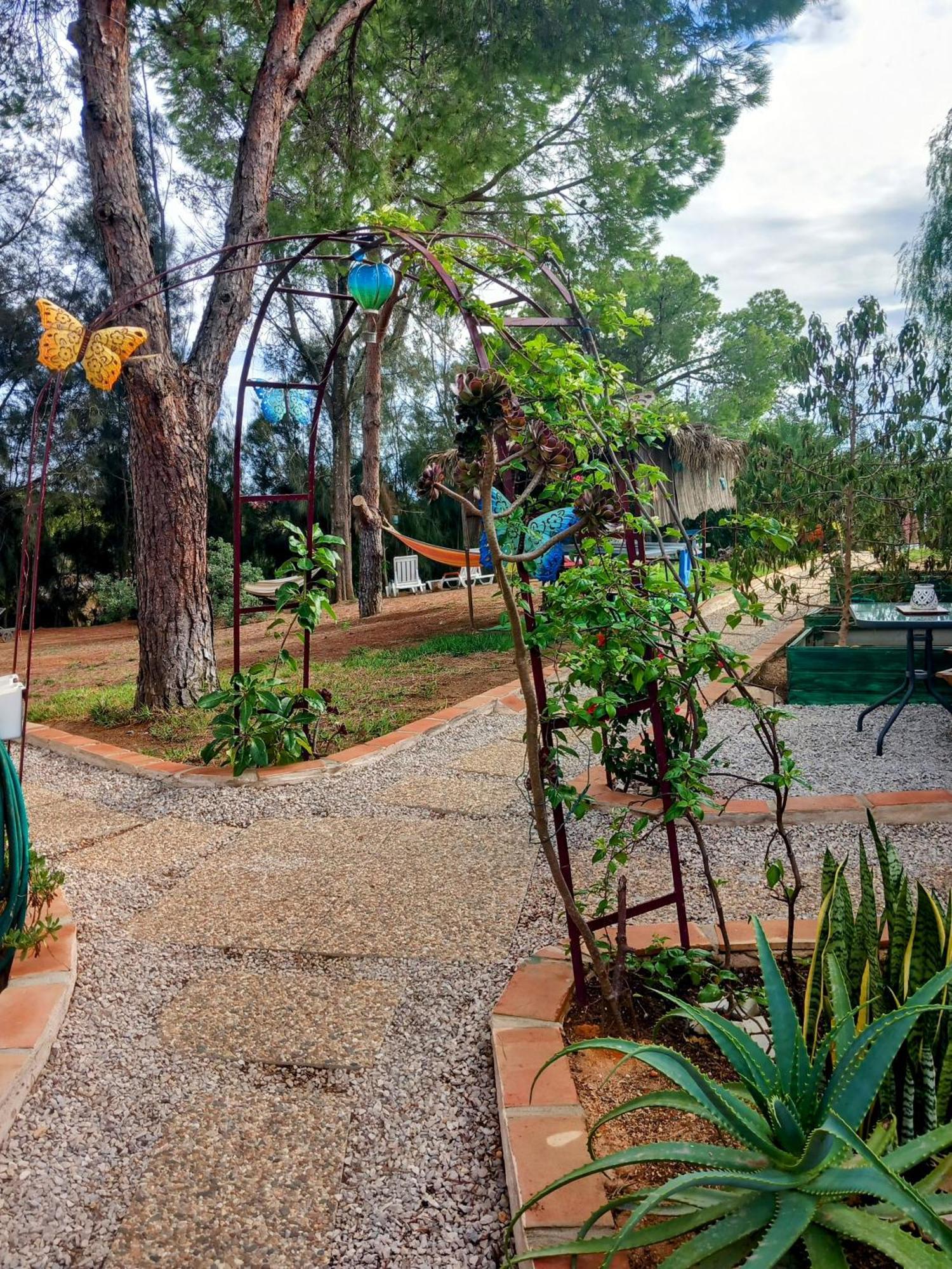 Boheme Valdareina, Piscine Chauffee, Benagil-Carvoeiro Leilighet Carvoeiro  Eksteriør bilde